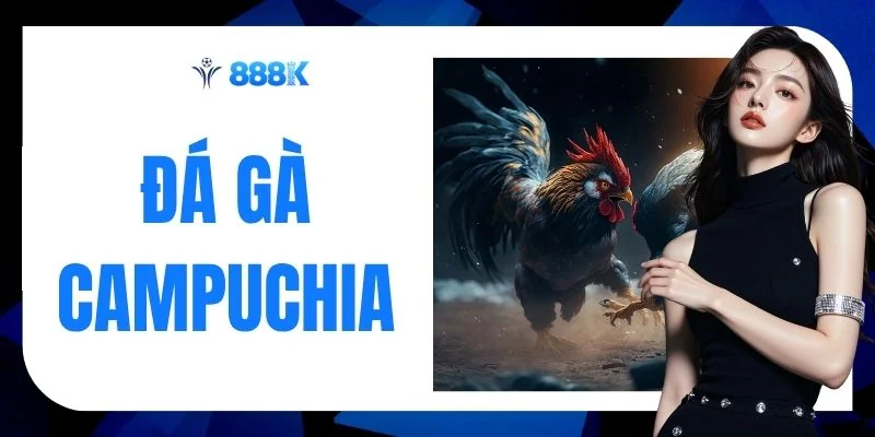 Đá Gà Campuchia - Màn So Tài 1 Tỷ Đồng Nảy Lửa Cùng 888K