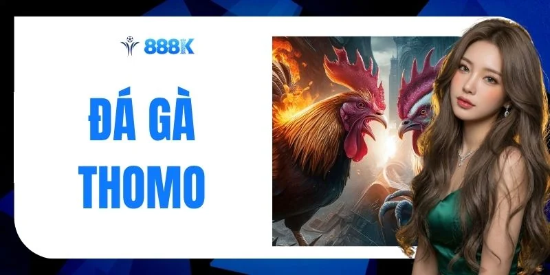 Đá Gà Thomo - Trực Tiếp 5 Phút Cuối Căng Thẳng 500M 888K